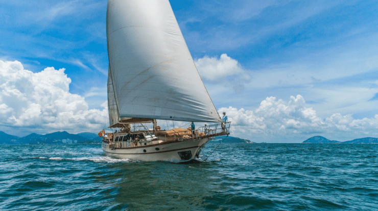 Screen Shot 2018-08-02 at 9.03.34 AM